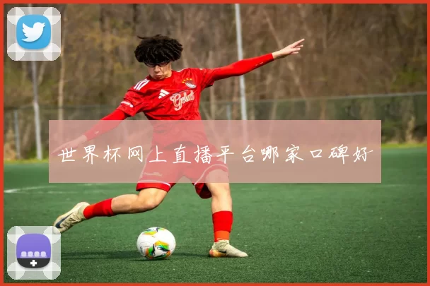 世界杯网上直播平台哪家口碑好