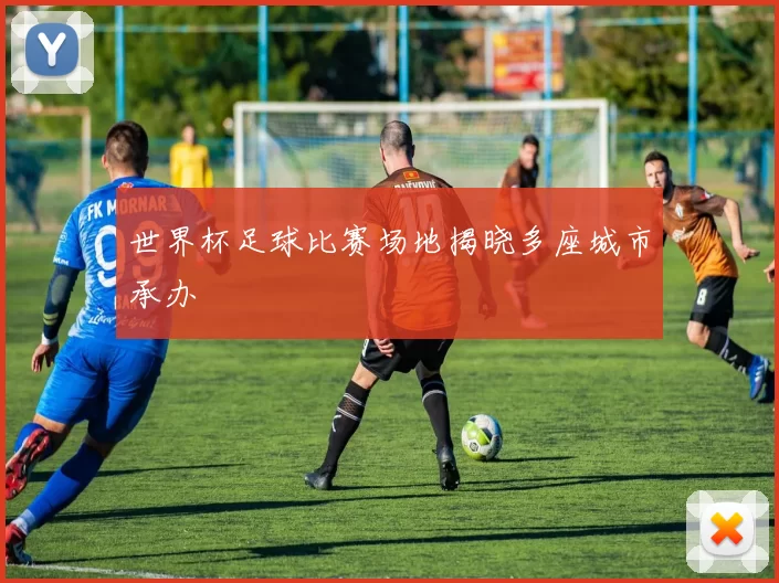 世界杯足球比赛场地揭晓多座城市承办