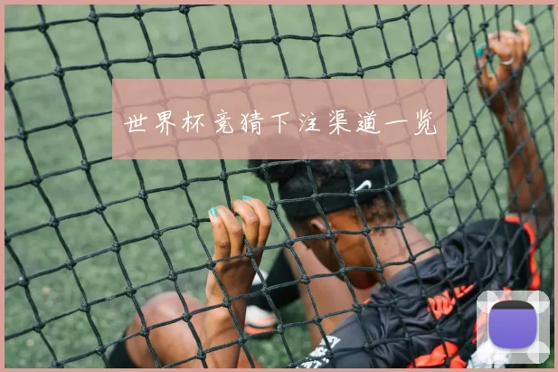 世界杯竞猜下注渠道一览