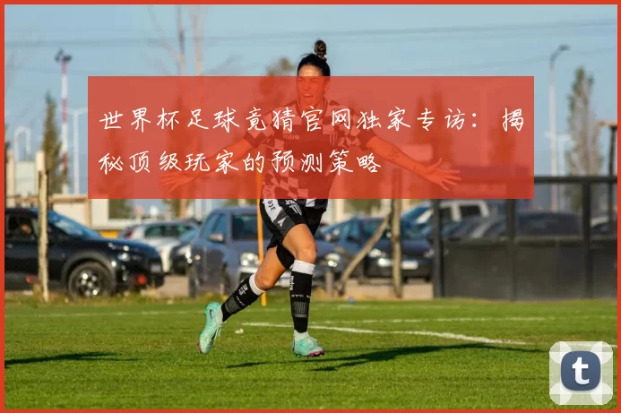 世界杯足球竟猜官网独家专访：揭秘顶级玩家的预测策略