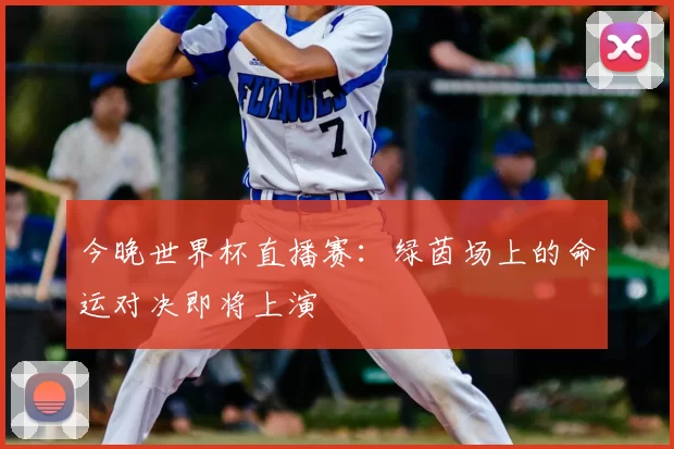今晚世界杯直播赛：绿茵场上的命运对决即将上演