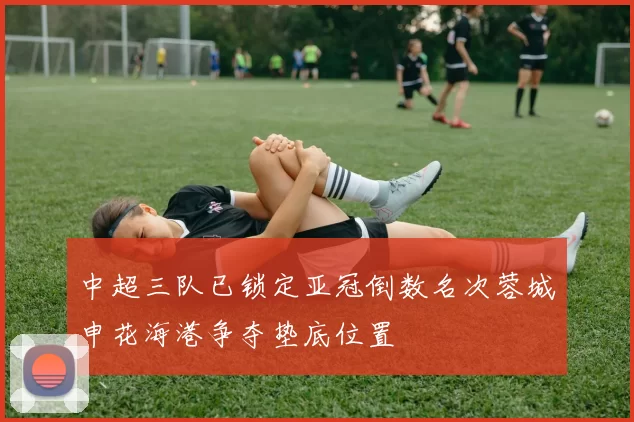 中超三队已锁定亚冠倒数名次蓉城申花海港争夺垫底位置