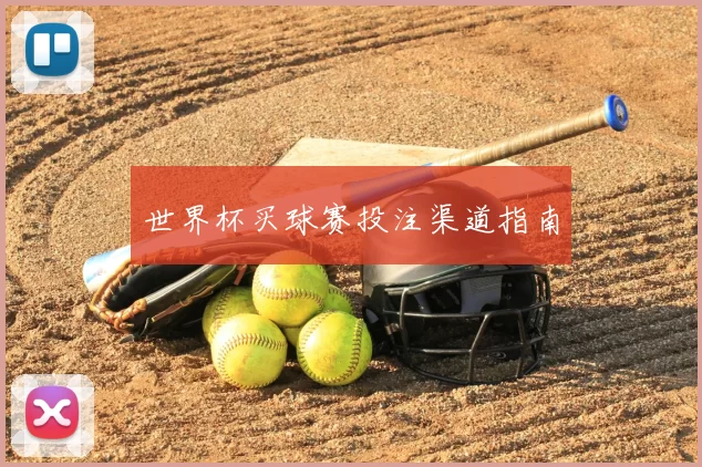 世界杯买球赛投注渠道指南