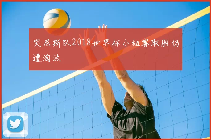 突尼斯队2018世界杯小组赛取胜仍遭淘汰