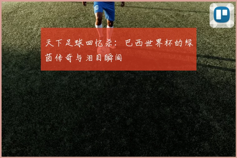 天下足球回忆杀：巴西世界杯的绿茵传奇与泪目瞬间