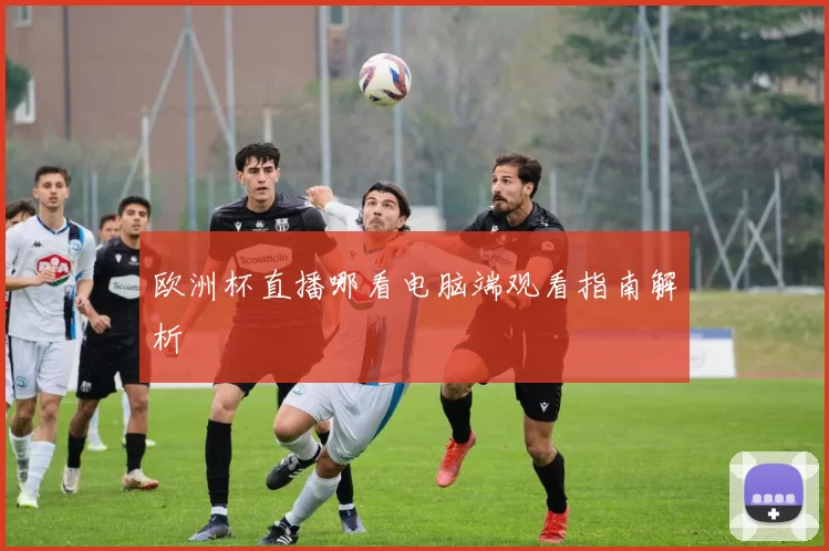 欧洲杯直播哪看电脑端观看指南解析