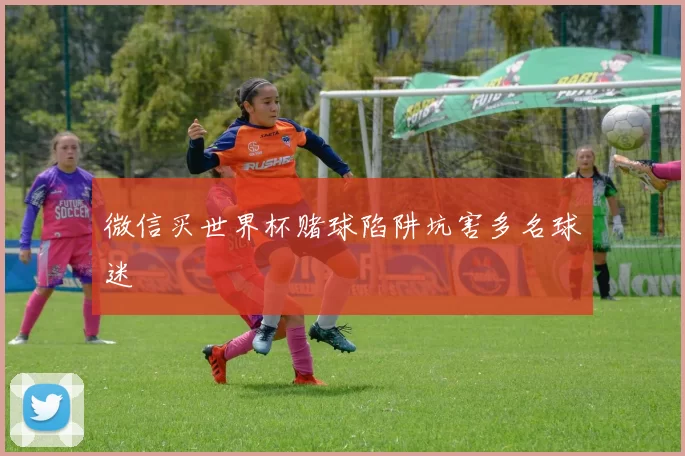 微信买世界杯赌球陷阱坑害多名球迷