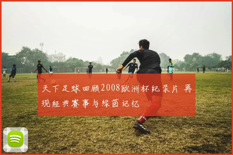 天下足球回顾2008欧洲杯纪录片 再现经典赛事与绿茵记忆