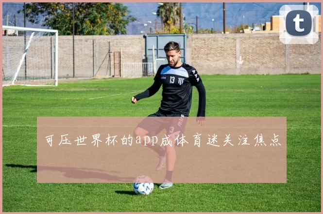 可压世界杯的app成体育迷关注焦点