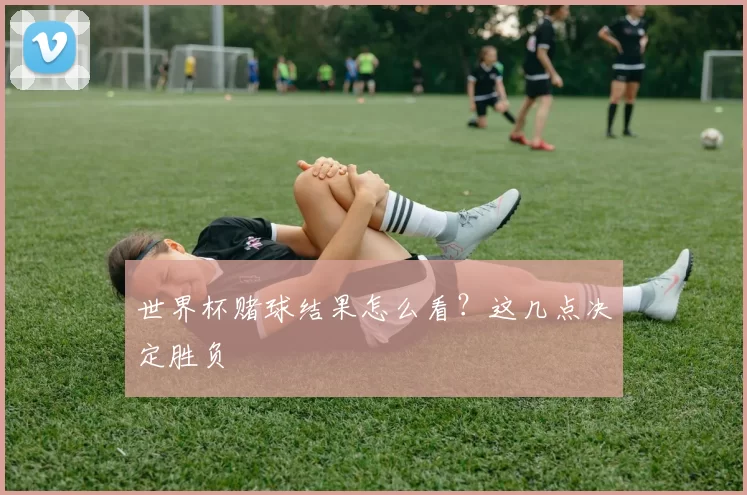 世界杯赌球结果怎么看？这几点决定胜负