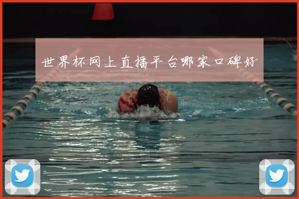 世界杯网上直播平台哪家口碑好