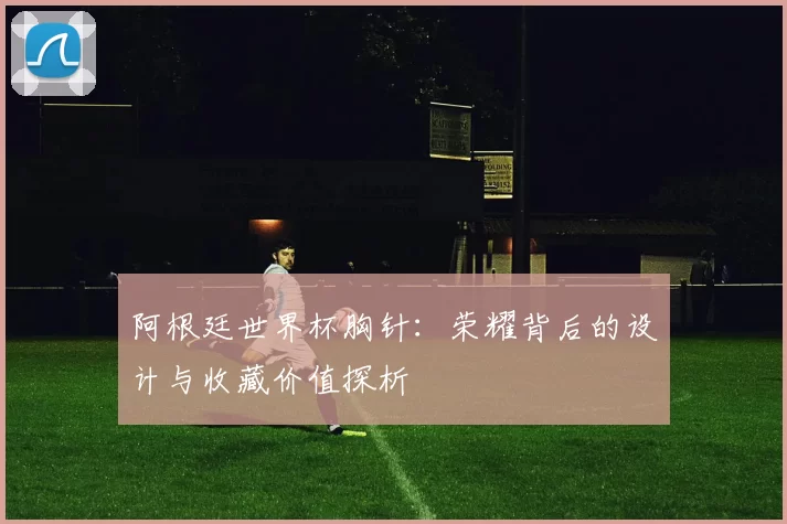 阿根廷世界杯胸针：荣耀背后的设计与收藏价值探析