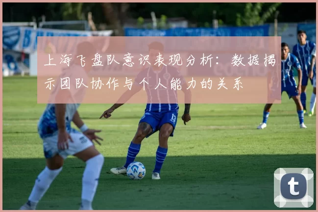上海飞盘队意识表现分析：数据揭示团队协作与个人能力的关系