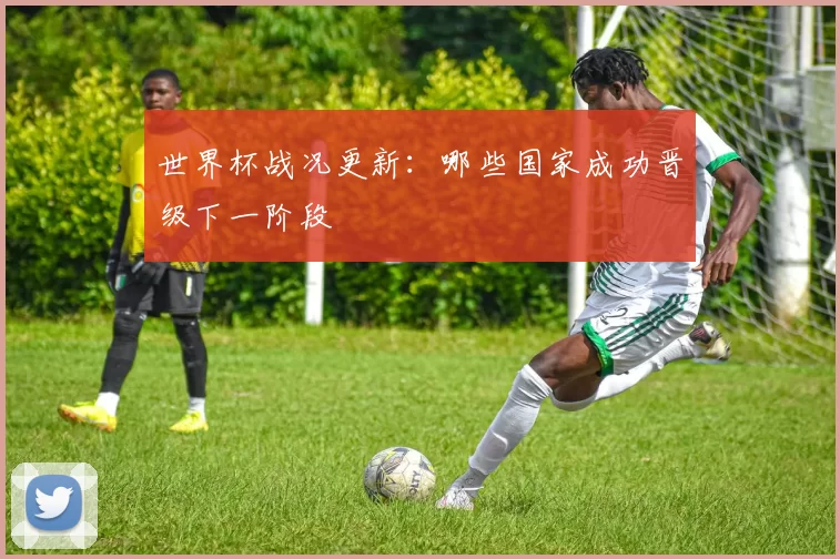 世界杯战况更新：哪些国家成功晋级下一阶段