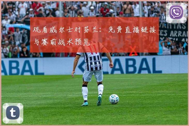 观看威尔士对芬兰：免费直播链接与赛前战术预览